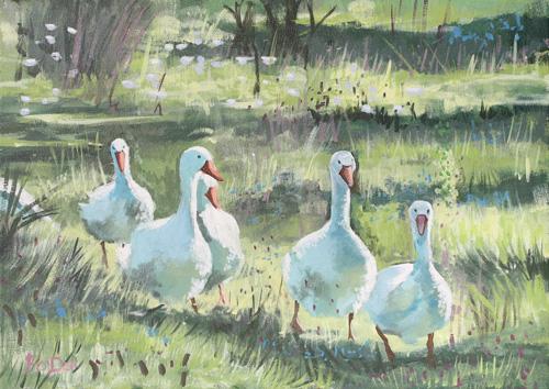 painting of geese for sale , Irish Geese painting , nature painting, Irish farm painting for sale, white geese painting , a gaggle of geese , wildlife painting , farm painting , Irish farm painting 