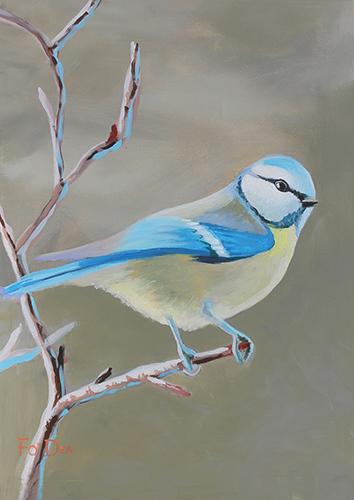 painting of Blue tit for sale , limited art print for sale, original painting of irish birds for sale , bird painting , irish art print of birds for sale 