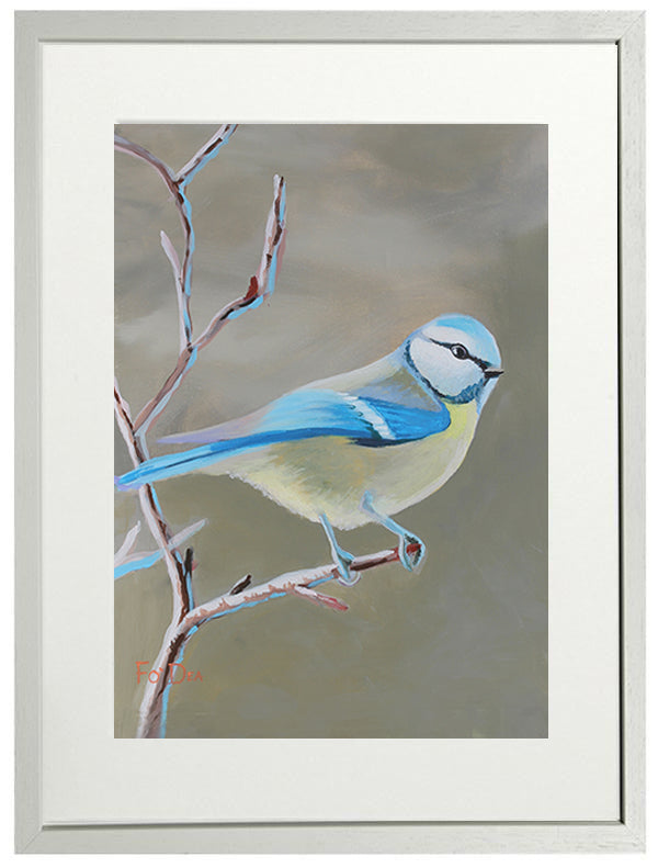 painting of Blue tit for sale , limited art print for sale, original painting of irish birds for sale , bird painting , irish art print of birds for sale