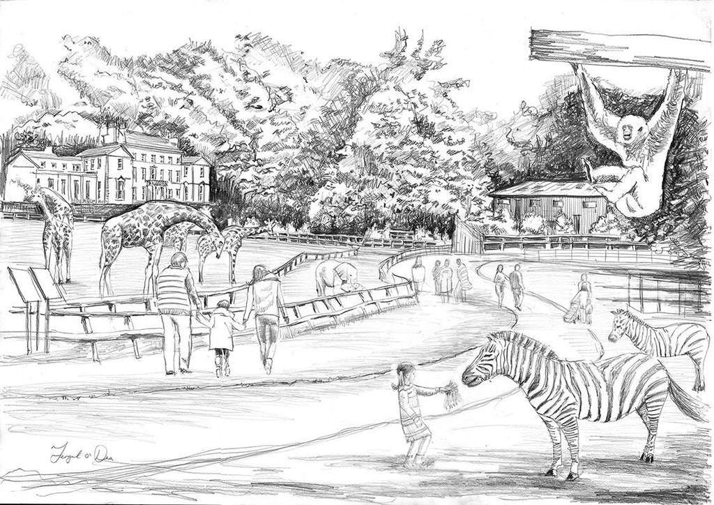 drawing of Fota Zoo Cork , Cork Fota zoo, Cobh art , Fota wildlife park, drawing of Fota wildlife park, landscape painting of fota Zoo for sale 