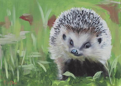 hedgehog painting for sale, limited print of Irish Hedge hog for sale, framed print of hedge hog for sale, mounted print of Irish wildlife for sale