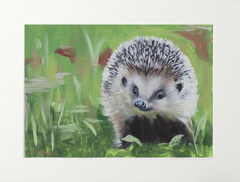 hedgehog painting for sale, limited print of Irish Hedge hog for sale, framed print of hedge hog for sale, mounted print of Irish wildlife for sale .