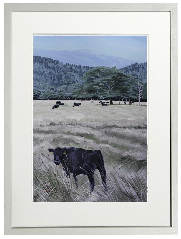 painting of kerry cow Killarney national park kerry for sale , by irish artist Fergal O' Dea, framed art print of the kerry cow for sale , kerry cow painting , killarney national park painting for sale, limited art print of killarney for sale , irish art print of kerry cow for sale