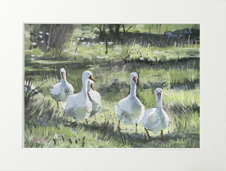 painting of geese for sale , Irish Geese painting , nature painting, Irish farm painting for sale, white geese painting , a gaggle of geese , wildlife painting , farm painting , Irish farm painting