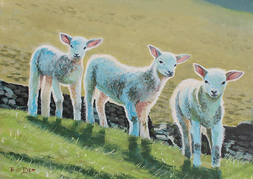painting of spring lambs for sale , framed art print of lambs , farm art , Irish farm art for sale , limited irish art print of spring lambs for sale , the ploughing championships art for sale ,