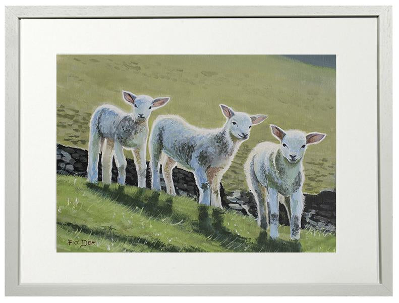 painting of spring lambs for sale , framed art print of lambs , farm art , Irish farm art for sale , limited irish art print of spring lambs for sale , the ploughing championships art for sale ,